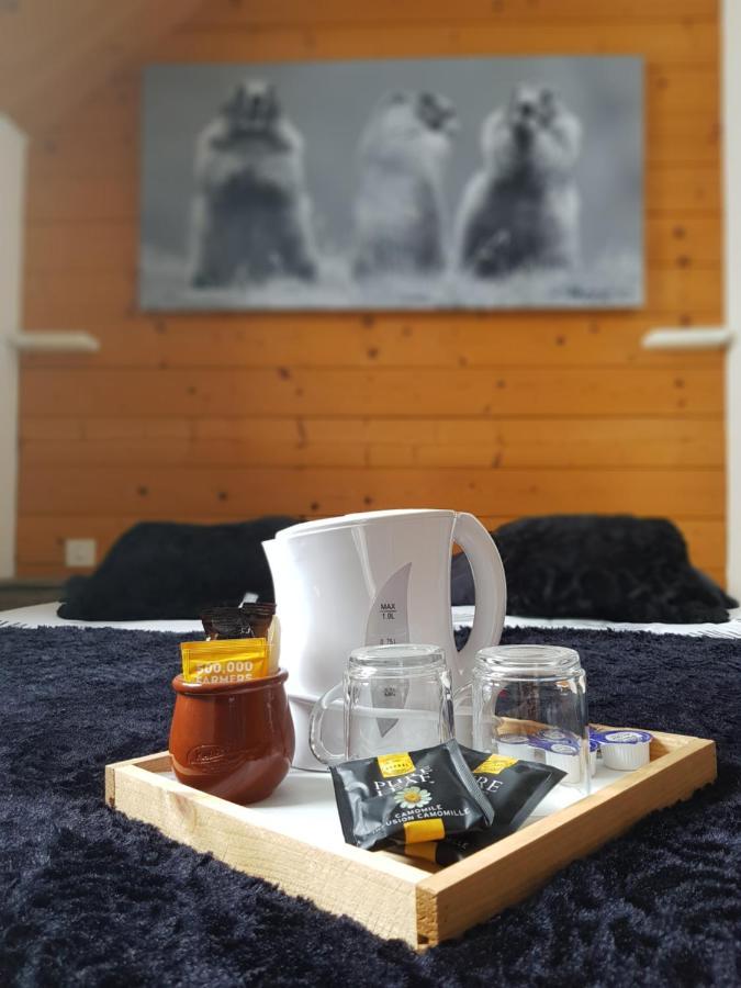 Gite Chalet Du Soulor Arrens-Marsous Exteriér fotografie
